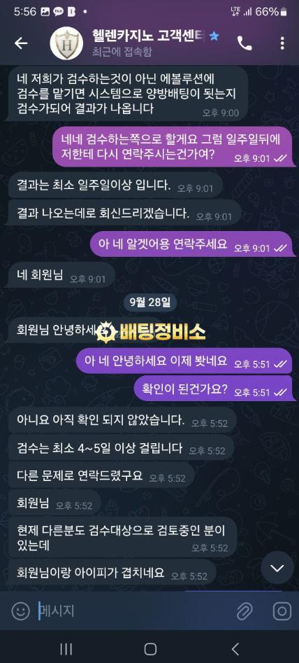 헬렌카지노1.png